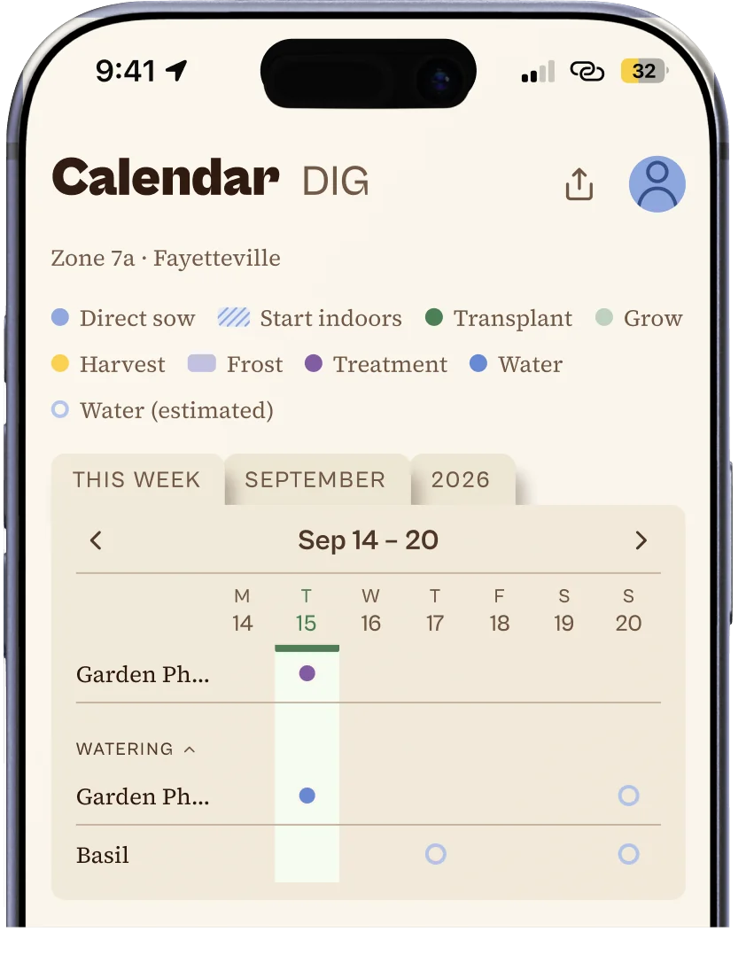 Ezina's Plan calendar for the week of September 14: a powdery mildew treatment for Garden Phlox, and watering dots for Garden Phlox and basil.