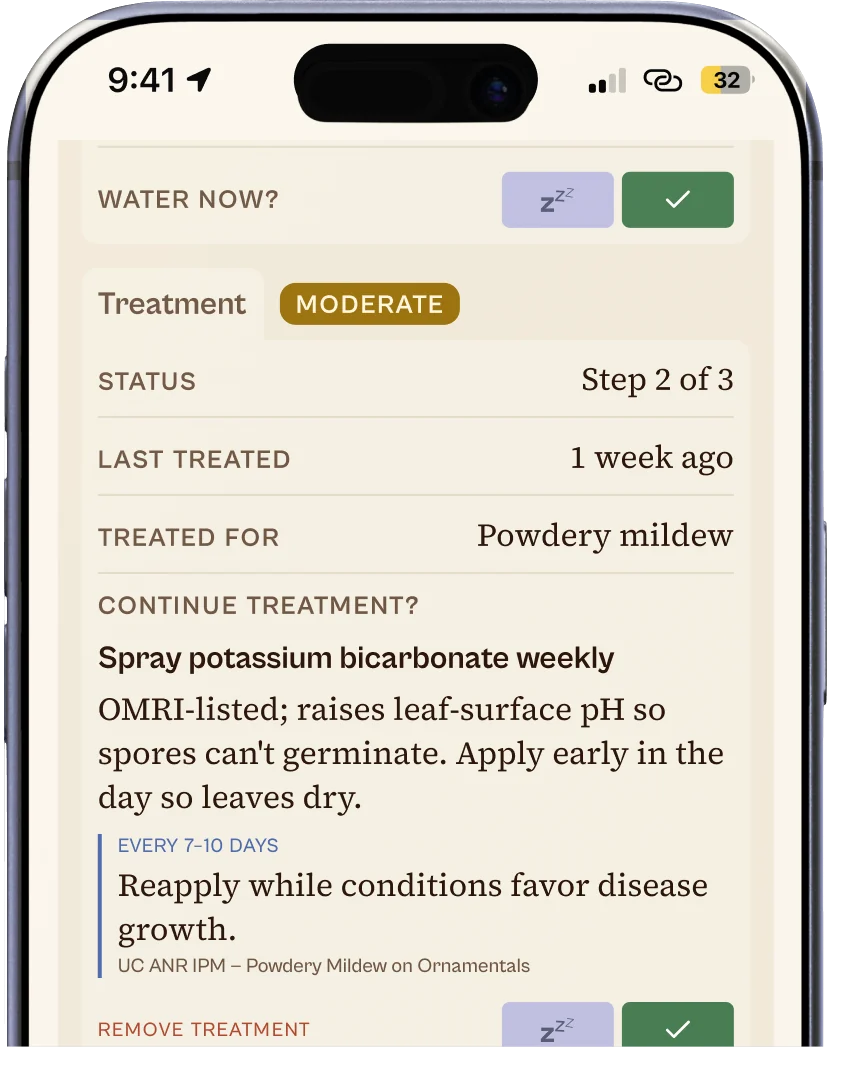 The garden phlox's plant card in Ezina, treated for powdery mildew: step 2 of 3, spray potassium bicarbonate weekly, reapplied every 7 to 10 days.