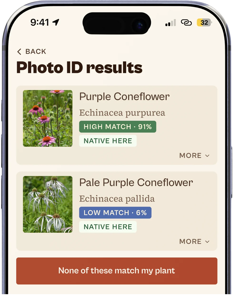 Ezina's photo ID results: Purple Coneflower at a 91% high match and Pale Purple Coneflower at 6%, both tagged Native here.