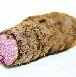 Water Yam (Dioscorea alata)