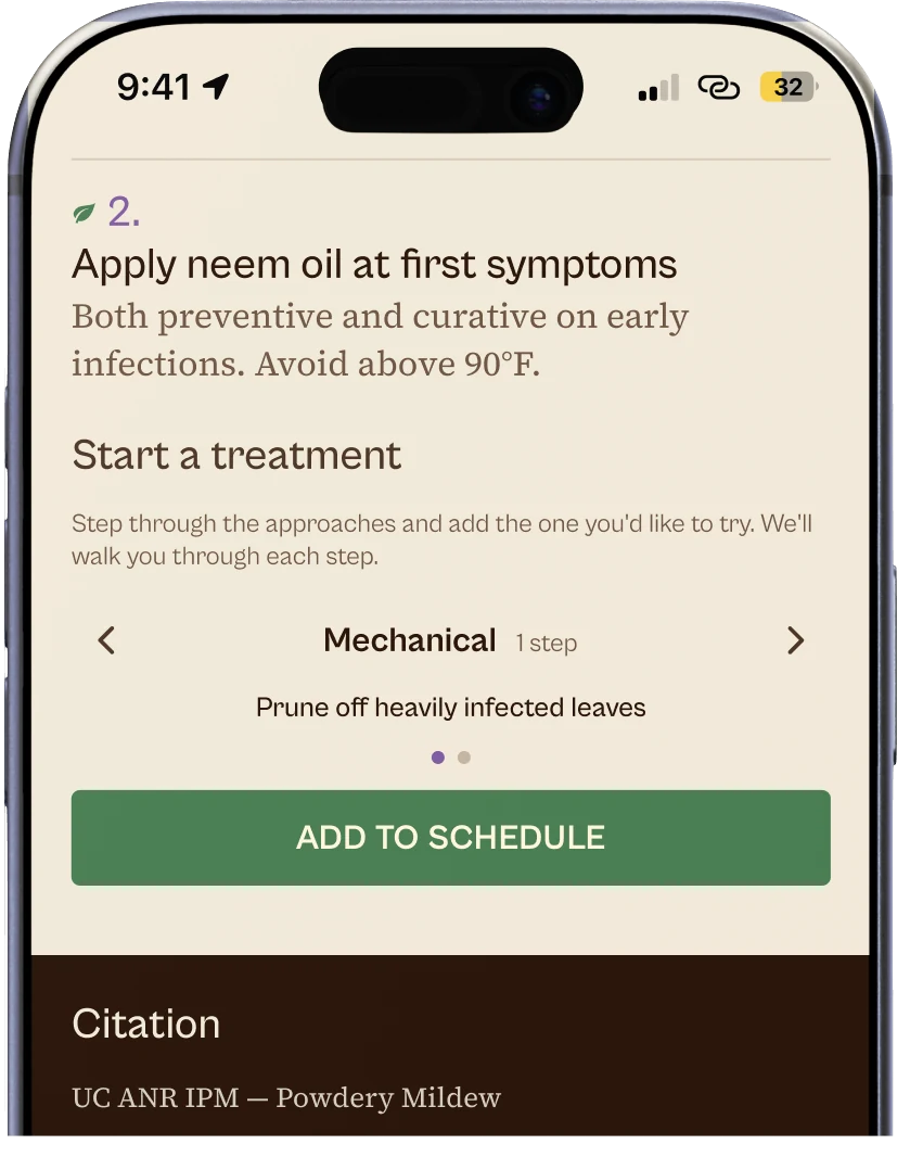 Powdery mildew's treatment plan in Ezina: a neem oil step, then Start a treatment with the Mechanical approach selected and an Add to schedule button, above its UC ANR IPM citation.