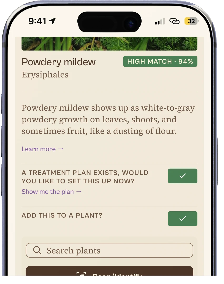 Ezina's health check result: powdery mildew (Erysiphales) at a 94% high match, with a prompt to set up its treatment plan and another to add it to a plant.