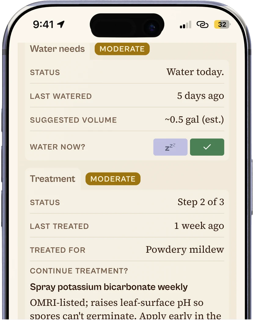 A plant's Water needs card: Water today, last watered 5 days ago, suggested volume about half a gallon.
